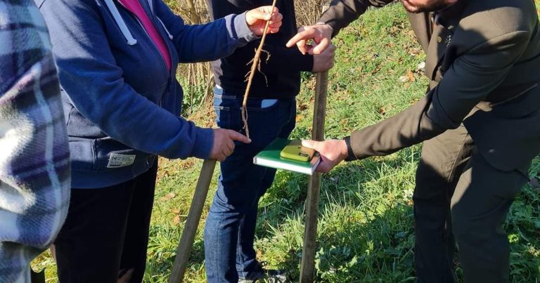 Detaliile unei acțiuni fără precedent în România: pădure plantată de la zero, de o armată de voluntari, la marginea unui oraș