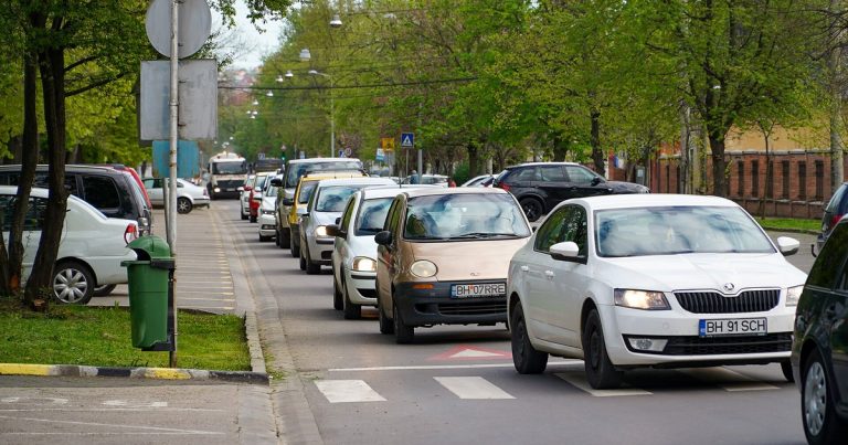 Dezbatere aprinsă pentru Peța, pârâul cald din România. Edilii vor să extindă strada traversată de apă, ecologiștii se opun