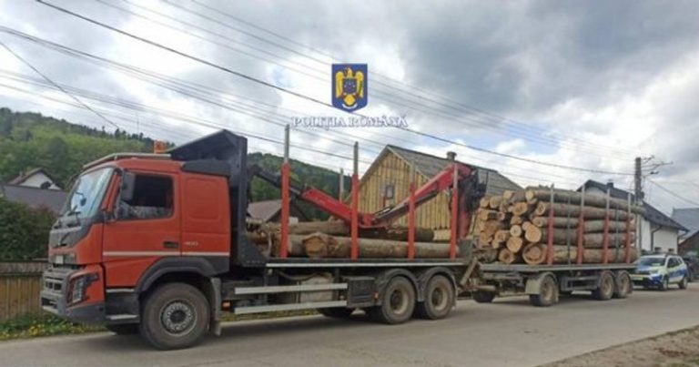 Camion și remorcă în valoare de 60.000 de euro, confiscate de polițiști la Suceava. Ce greșeală a făcut șoferul