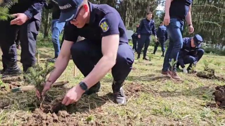 Luna Pădurii, sărbătorită în stil mare. Polițiști, jandarmi și copii au plantat puieți în pădurea din Fântânele